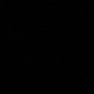 Meet your Posher, Reagan